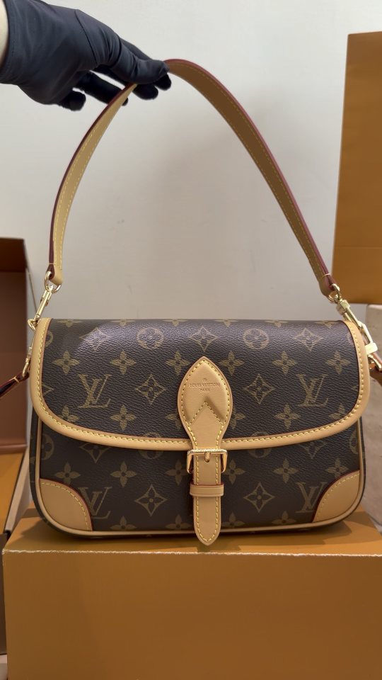 Louis Vuitton Diane Monogram Shoulder Bag — hero