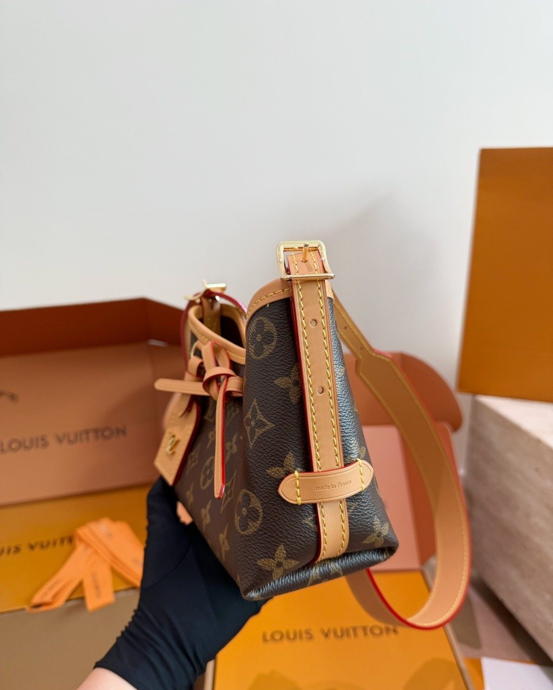 Louis Vuitton Nano Carryall Monogram Handbag — side
