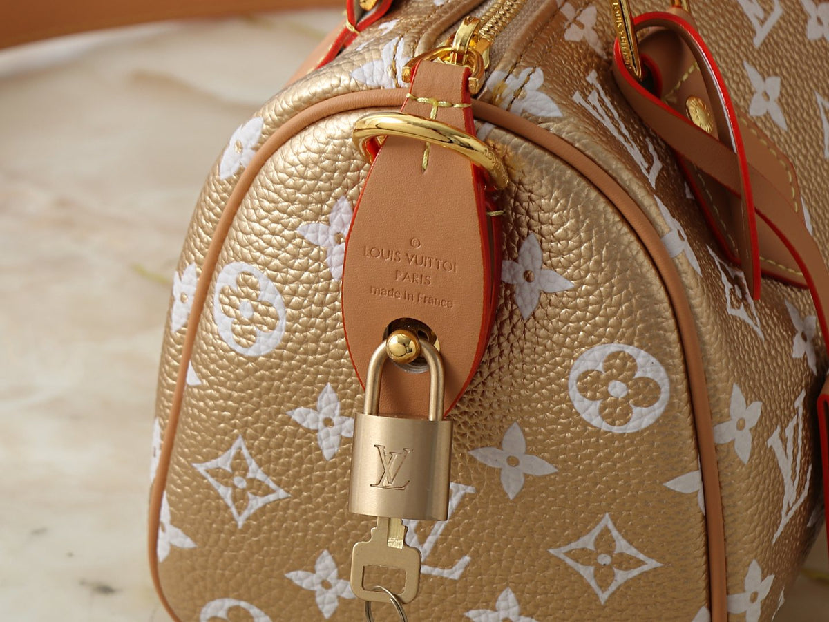 Louis Vuitton Speedy Bandoulière White Monogram Bag — detail