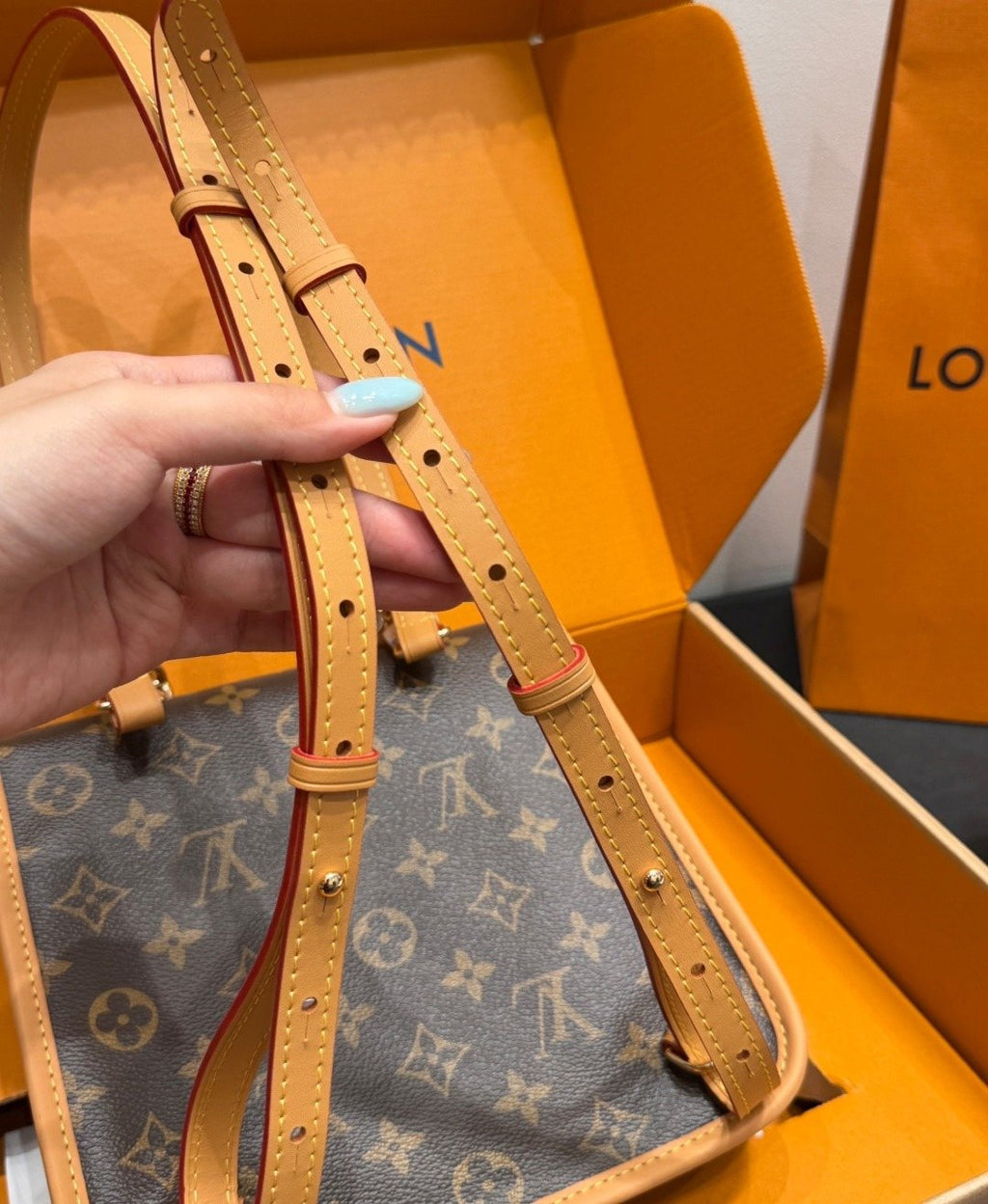 Louis Vuitton Diane Monogram Backpack — detail