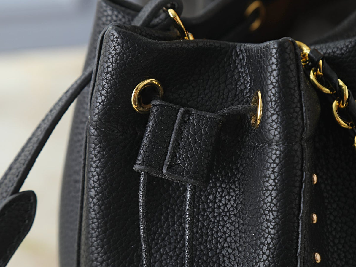 Louis Vuitton Noé Trunk Drawstring Bucket Bag — detail