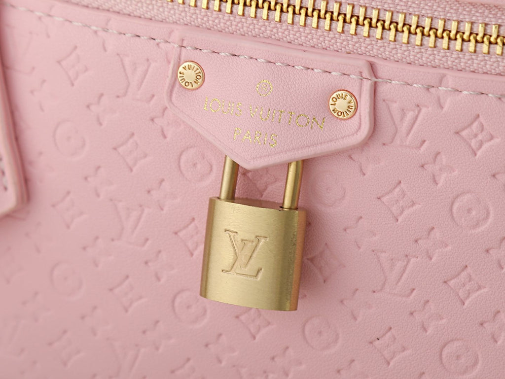 Louis Vuitton Vanity Chain Pouch Embossed Motif Bag — detail