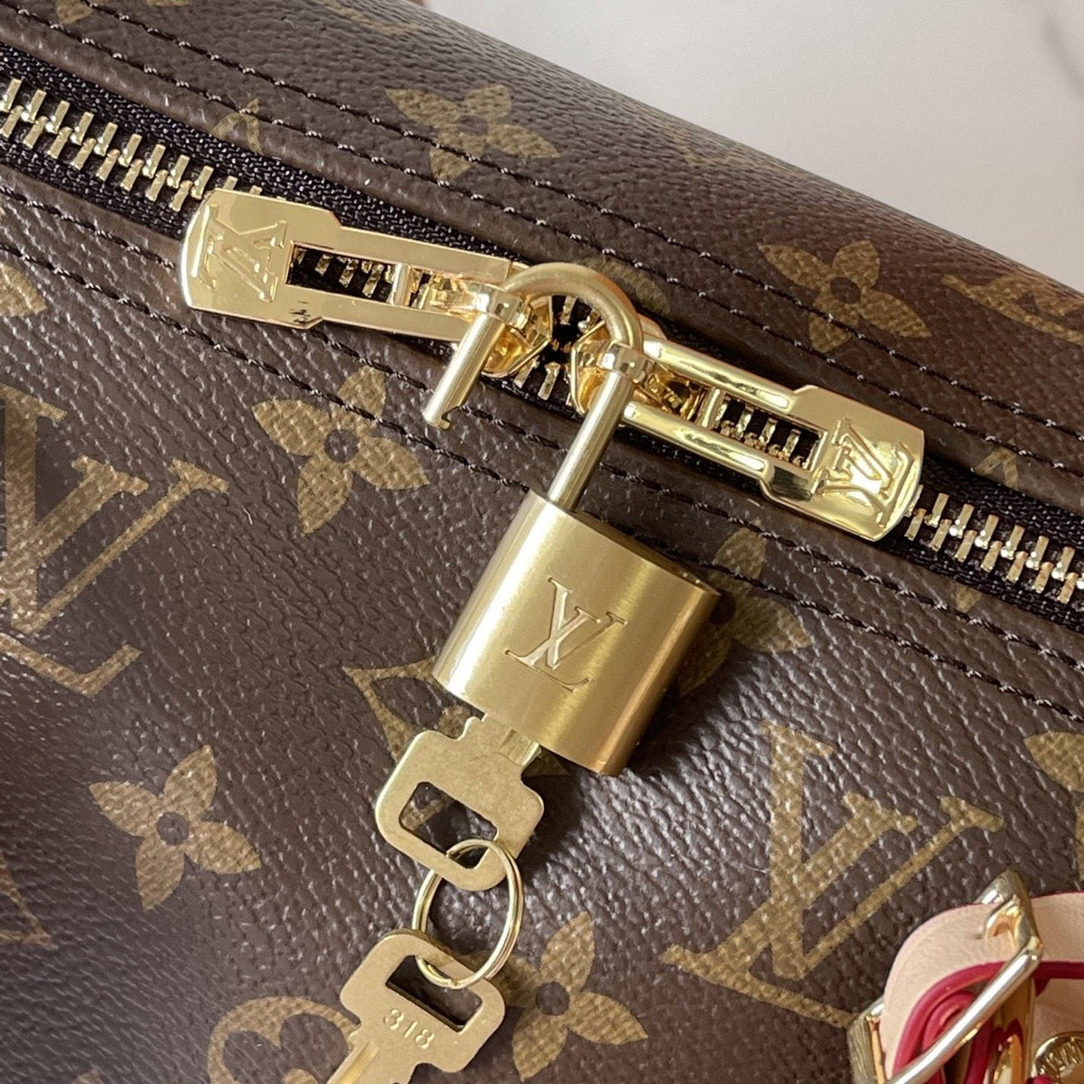 Louis Vuitton Flânerie Monogram Canvas Tote — detail