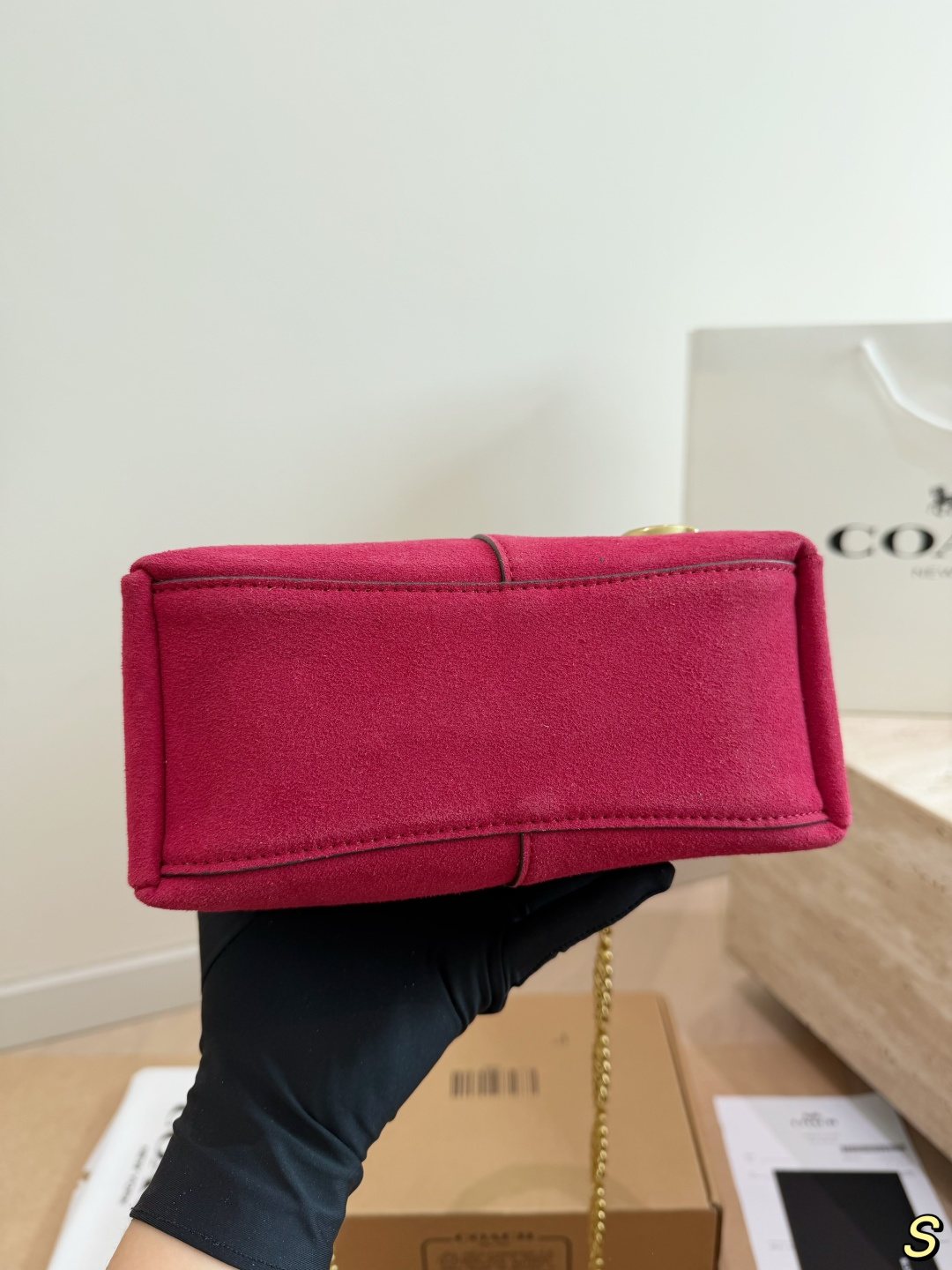 Coach Lana Charm Chain Handbag — detail