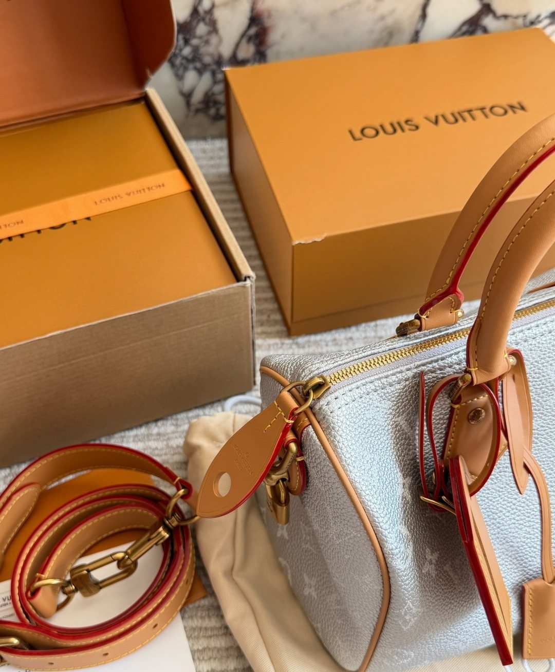 Louis Vuitton Speedy Silver Satchel with Tan Trim — detail