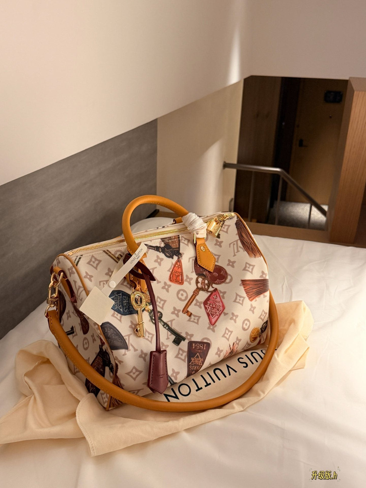 Louis Vuitton Speedy Flight Mode Printed Satchel — hero