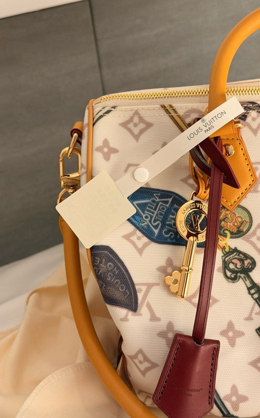 Louis Vuitton Speedy Flight Mode Printed Satchel — detail
