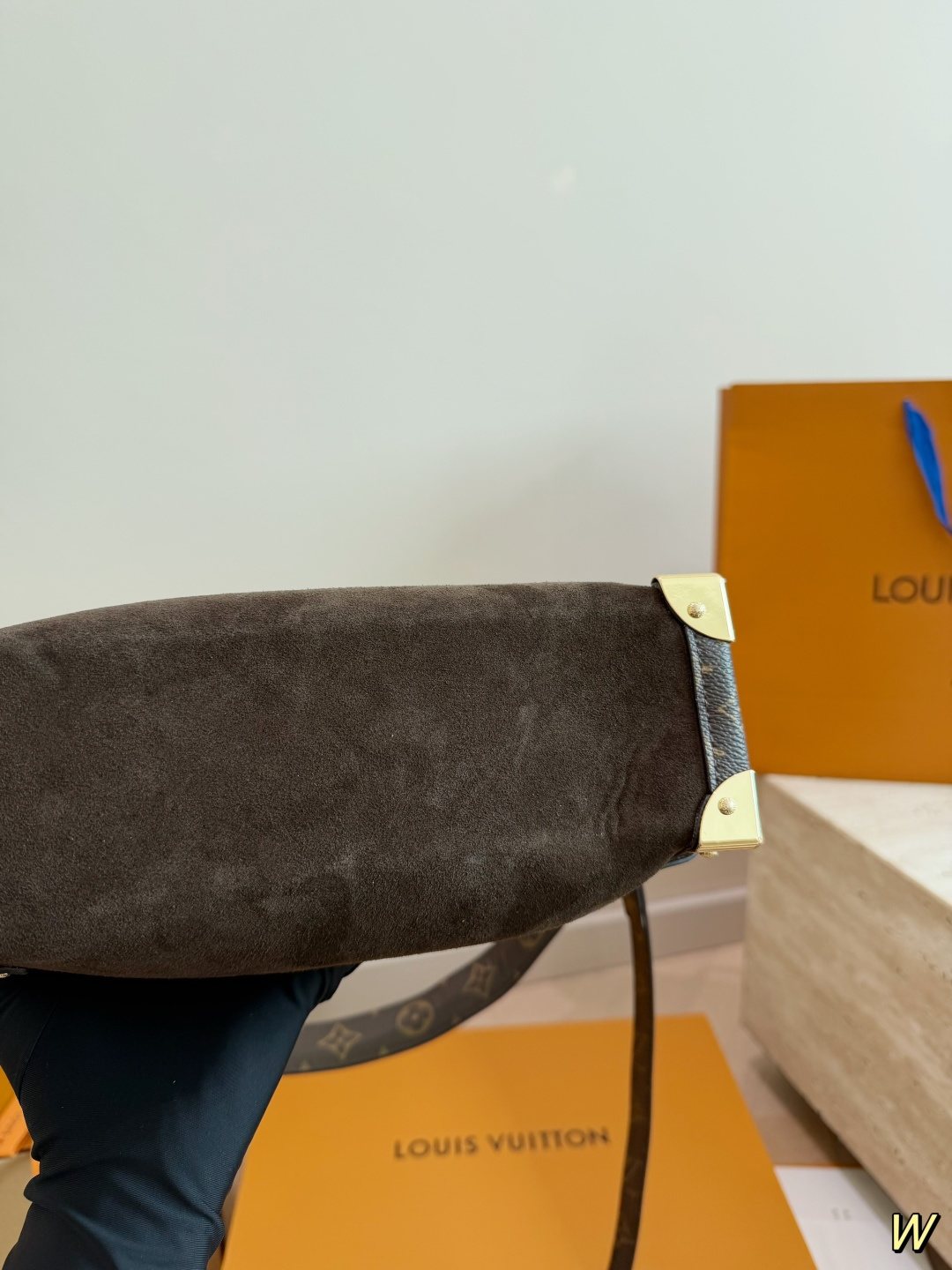 Louis Vuitton Trunk Top-Handle Bag with Monogram Trim — detail