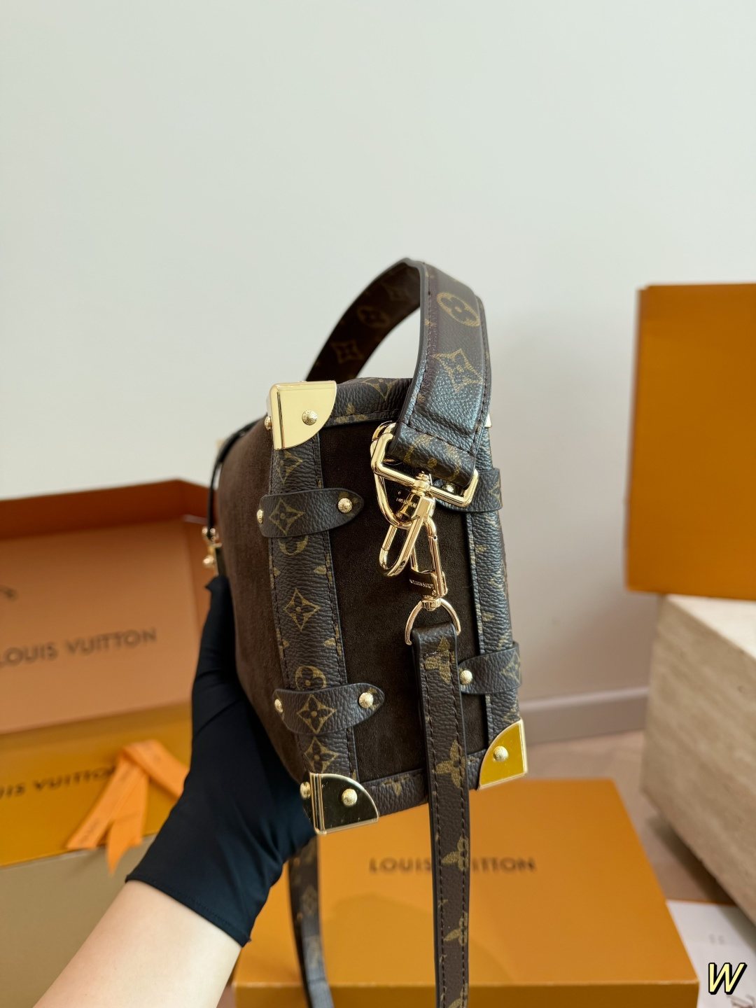 Louis Vuitton Trunk Top-Handle Bag with Monogram Trim — side