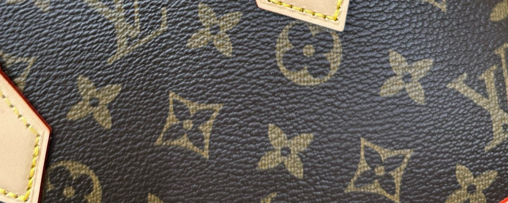 Louis Vuitton Domed Top-Handle Bag — detail