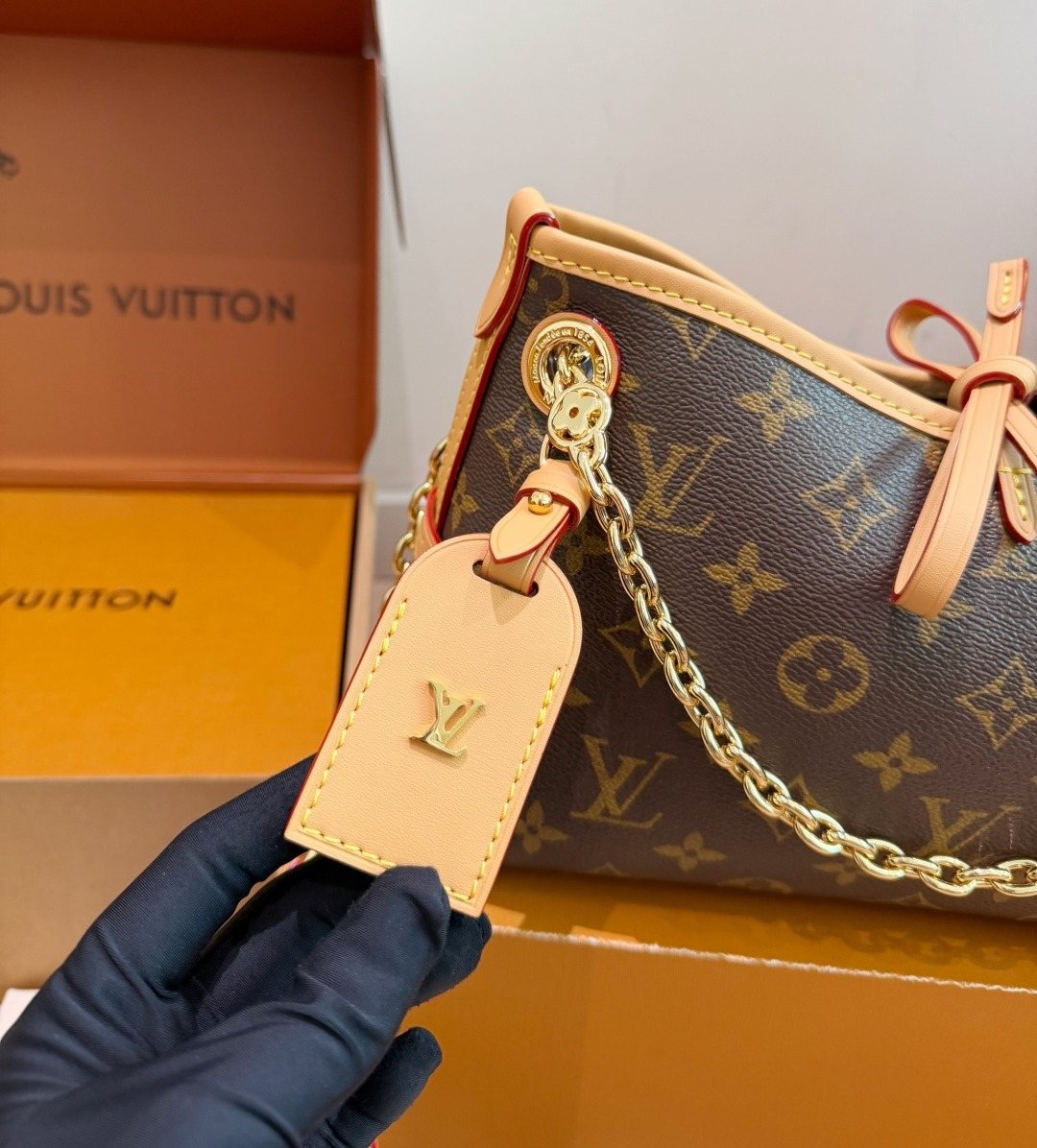 Louis Vuitton Carryall BB Monogram Shoulder Bag — detail